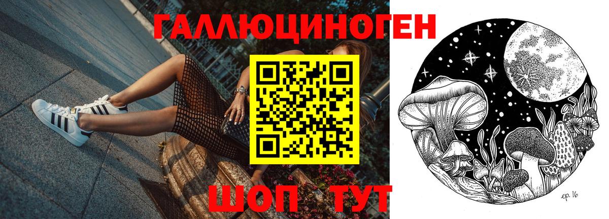 Рославль  Псилоцибиновые грибы Psilocybine cubensis  Вход с VPN 