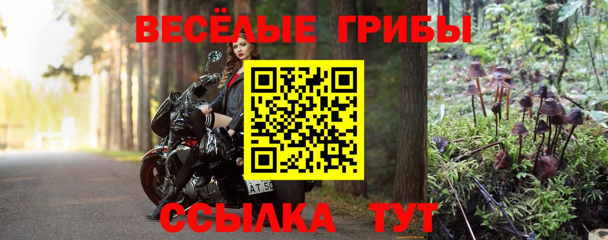 Галлюциногенные грибы Magic Shrooms Рославль